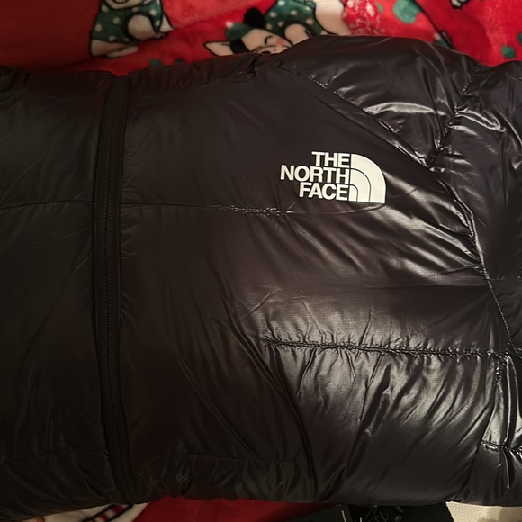 The North Face PUMORI DOWN PARKA XL - Picture 3 of 3